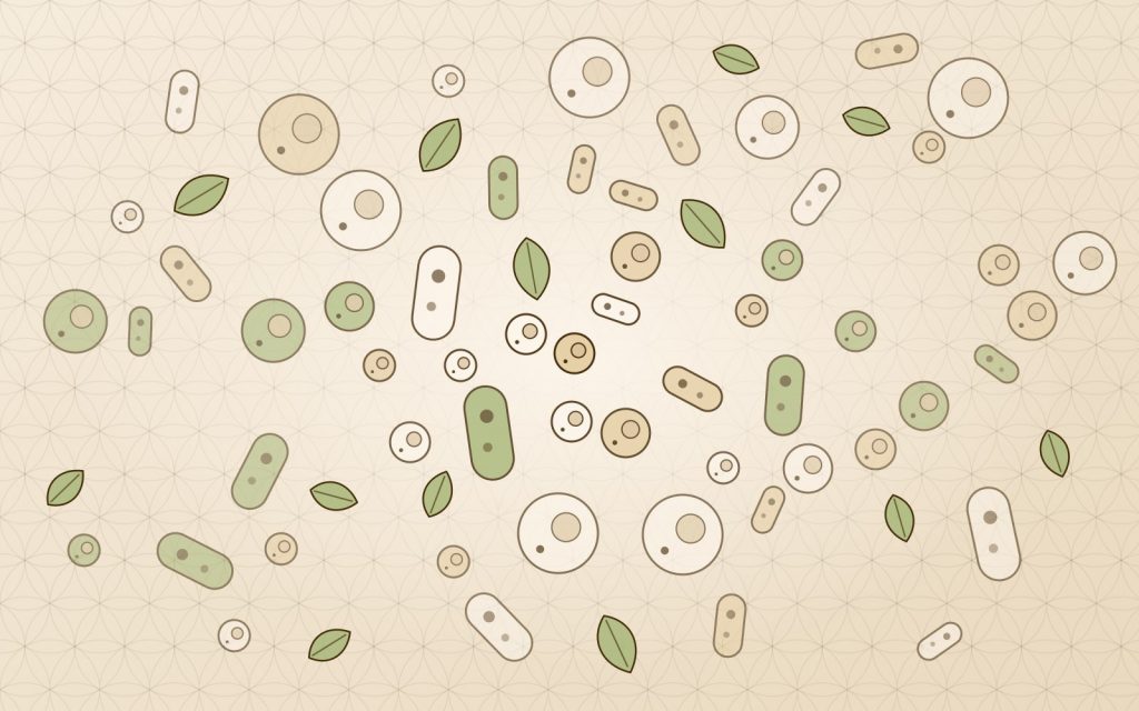 Illustration of gut microbes and plant leaves on a cream background